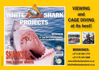 White Shark Projects